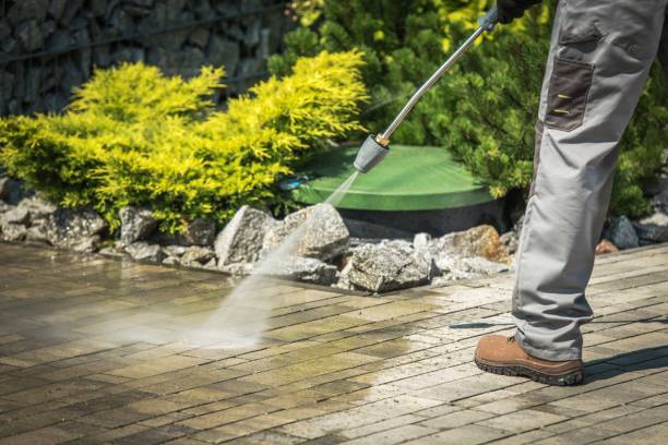 Best Winterizing Services  in Griffin, GA